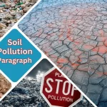Soil Pollution Paragraph
